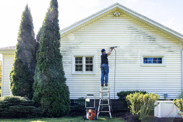 Best Building Exterior Washing  in Ellettsville, IN